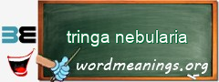 WordMeaning blackboard for tringa nebularia